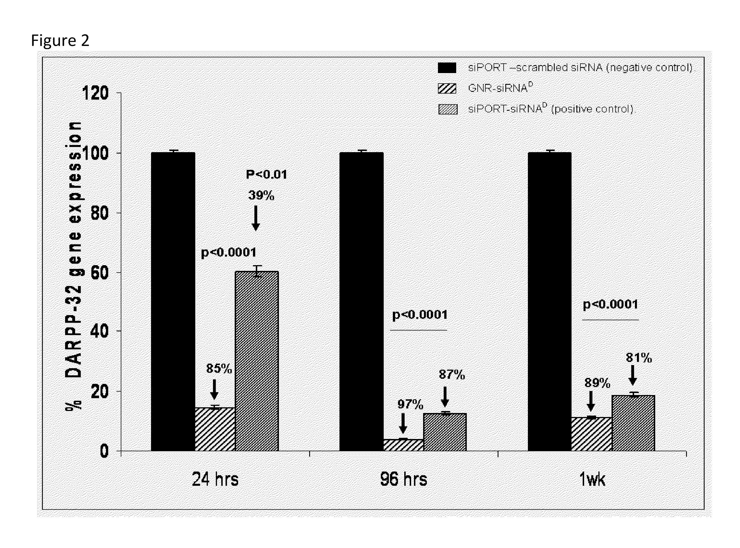 GOLD NANOROD-siRNA COMPLEXES AND METHODS OF USING SAME