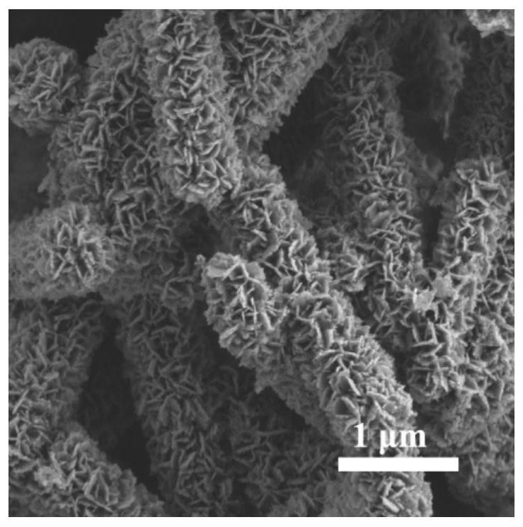 A kind of novel negative electrode material of potassium ion battery and preparation method thereof