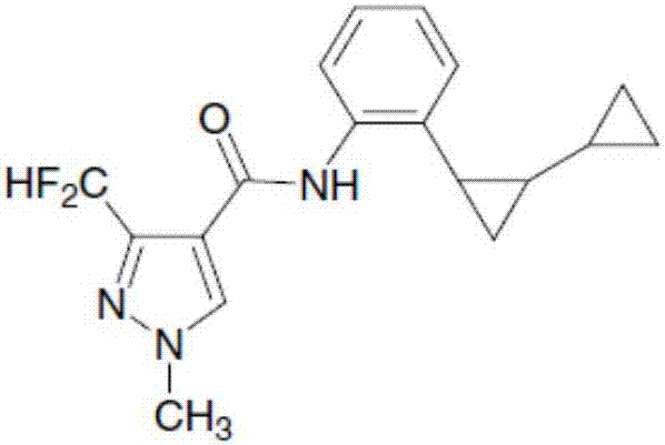 Bactericidal composition containing sedaxane