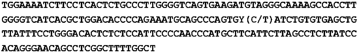 Molecular marker associated with properties of semen volume of boars and application