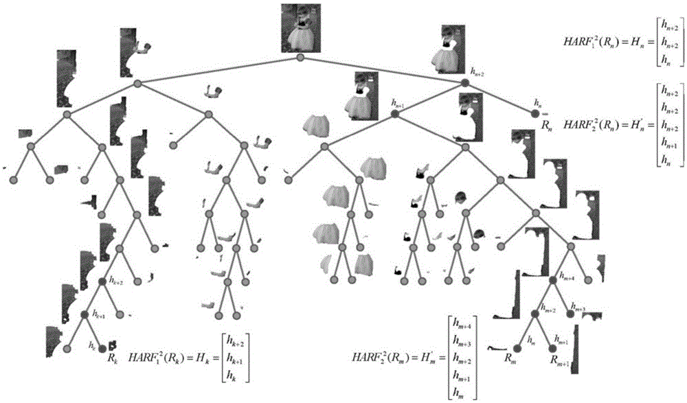Binary segmenting tree based regional feature description method and system
