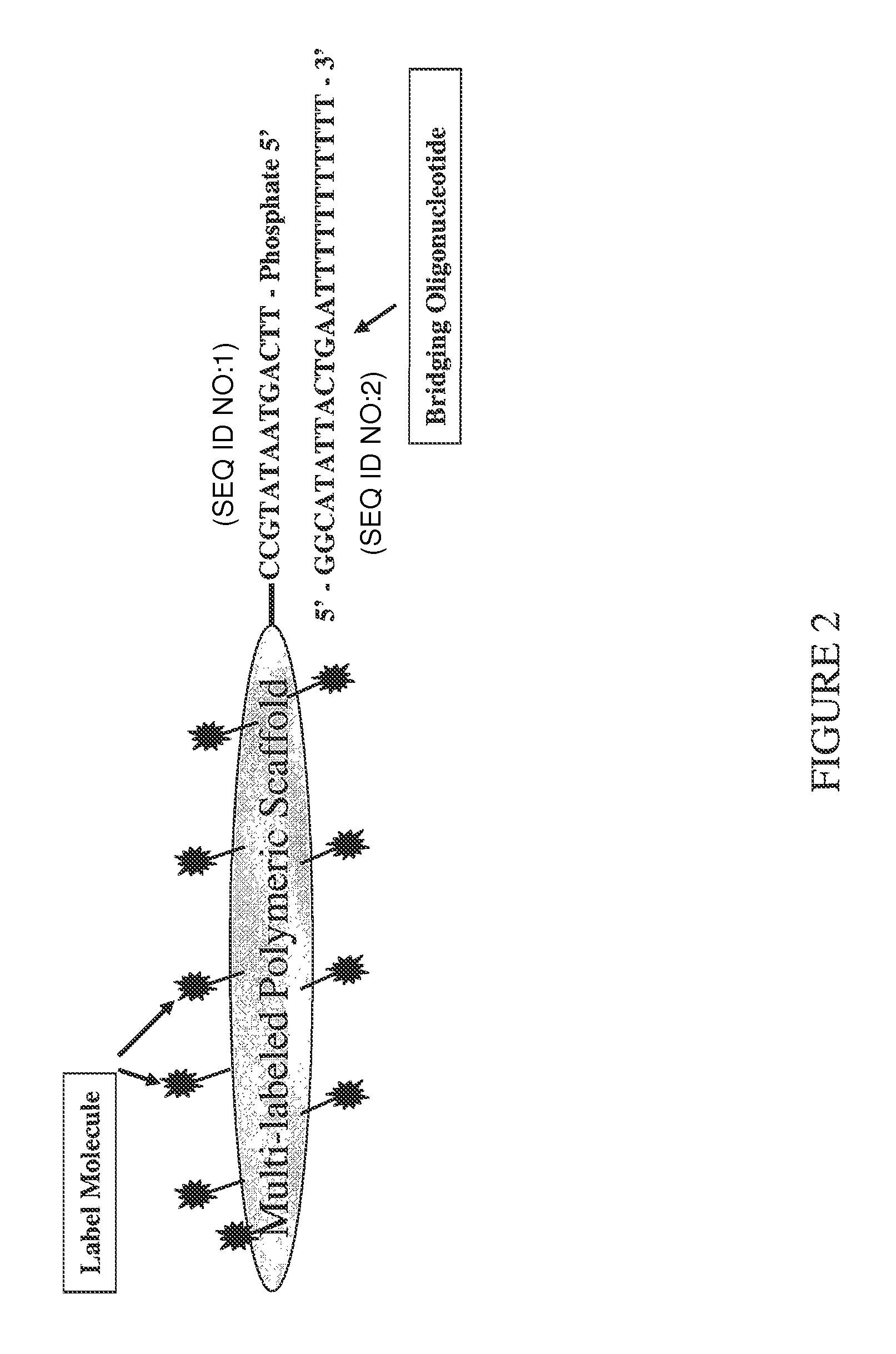 Methods, reagents and kits for detection of nucleic acid molecules