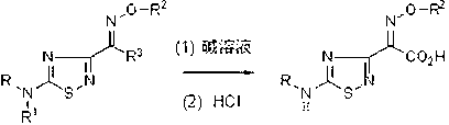 Preparation method of 1,2,4-thiadiazole oximido acetic acid compound