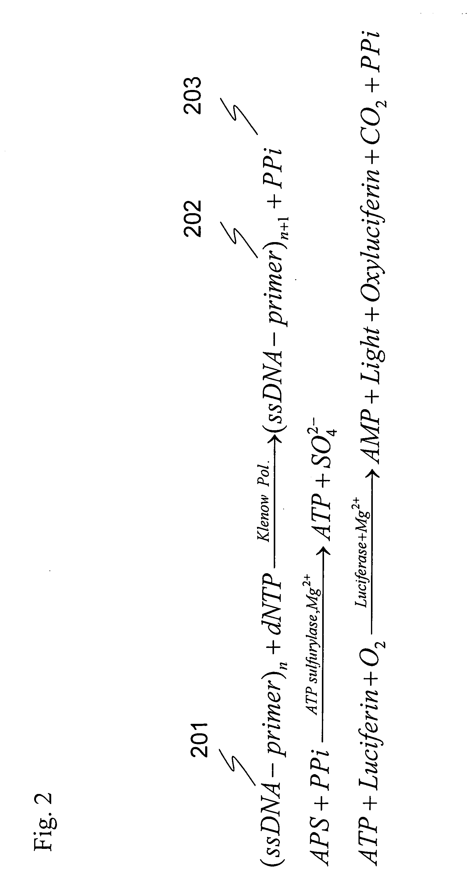 Method and reagent for sequencing