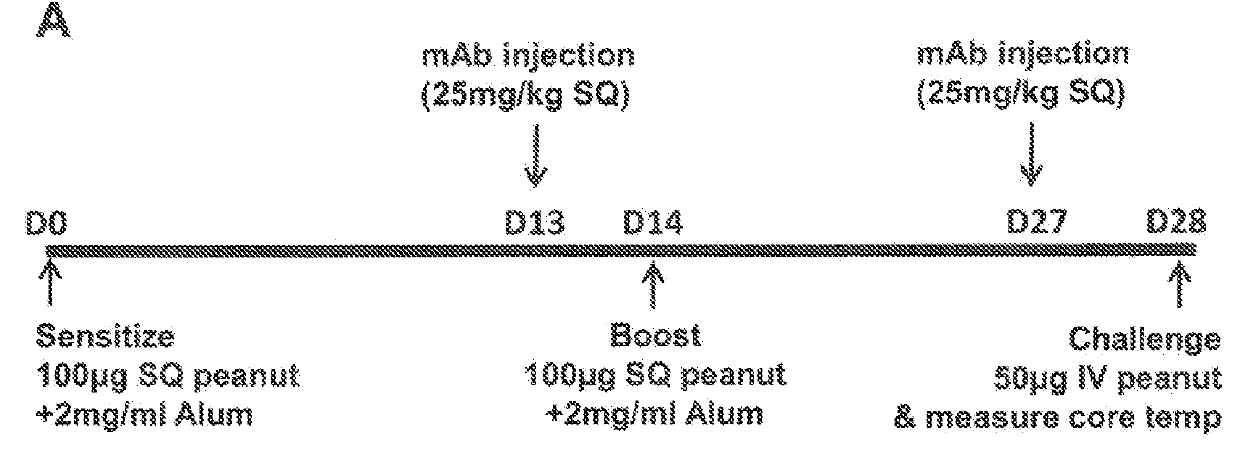 Methods for Treating Allergy and Enhancing Allergen-Specific Immunotherapy by Administering an IL-4R Inhibitor