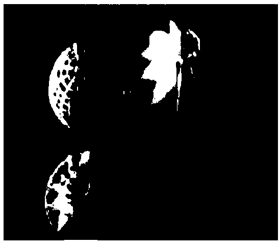 Gutta-percha-modified biofilm filler and its preparation method and application