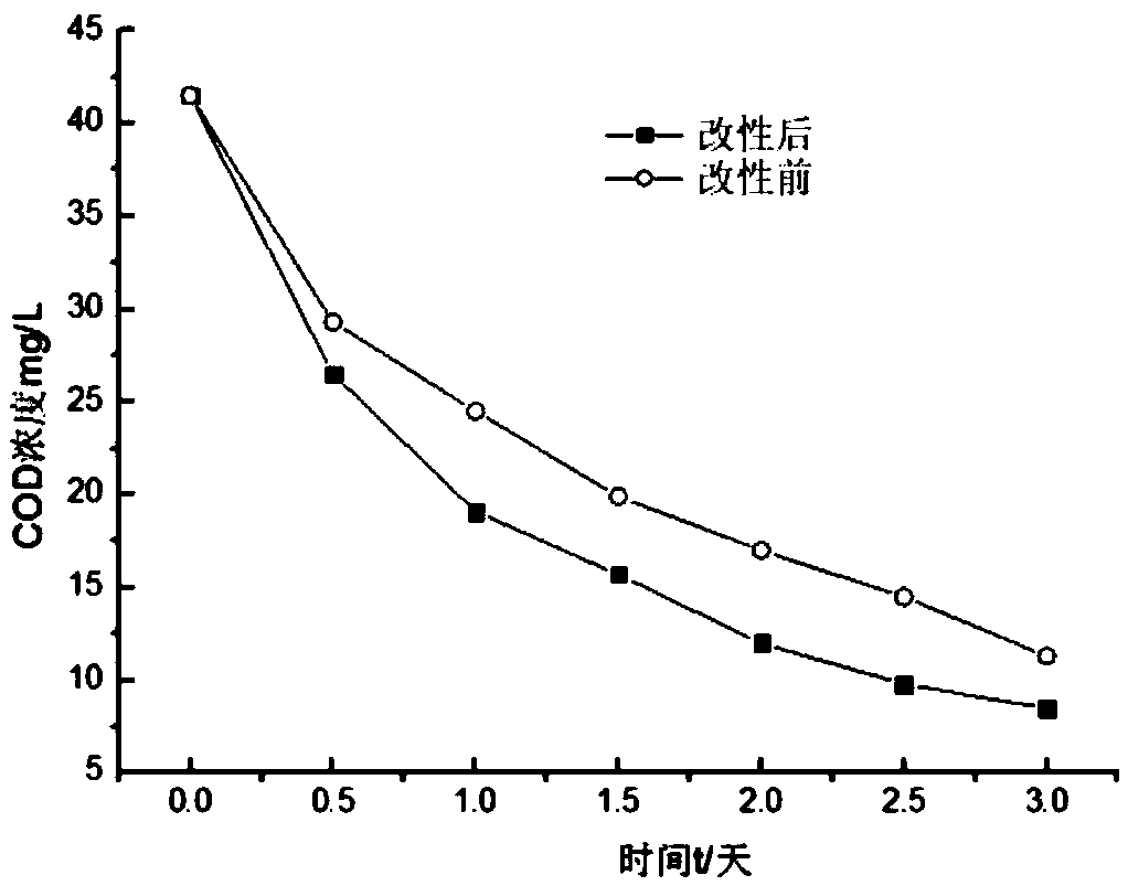 Gutta-percha-modified biofilm filler and its preparation method and application