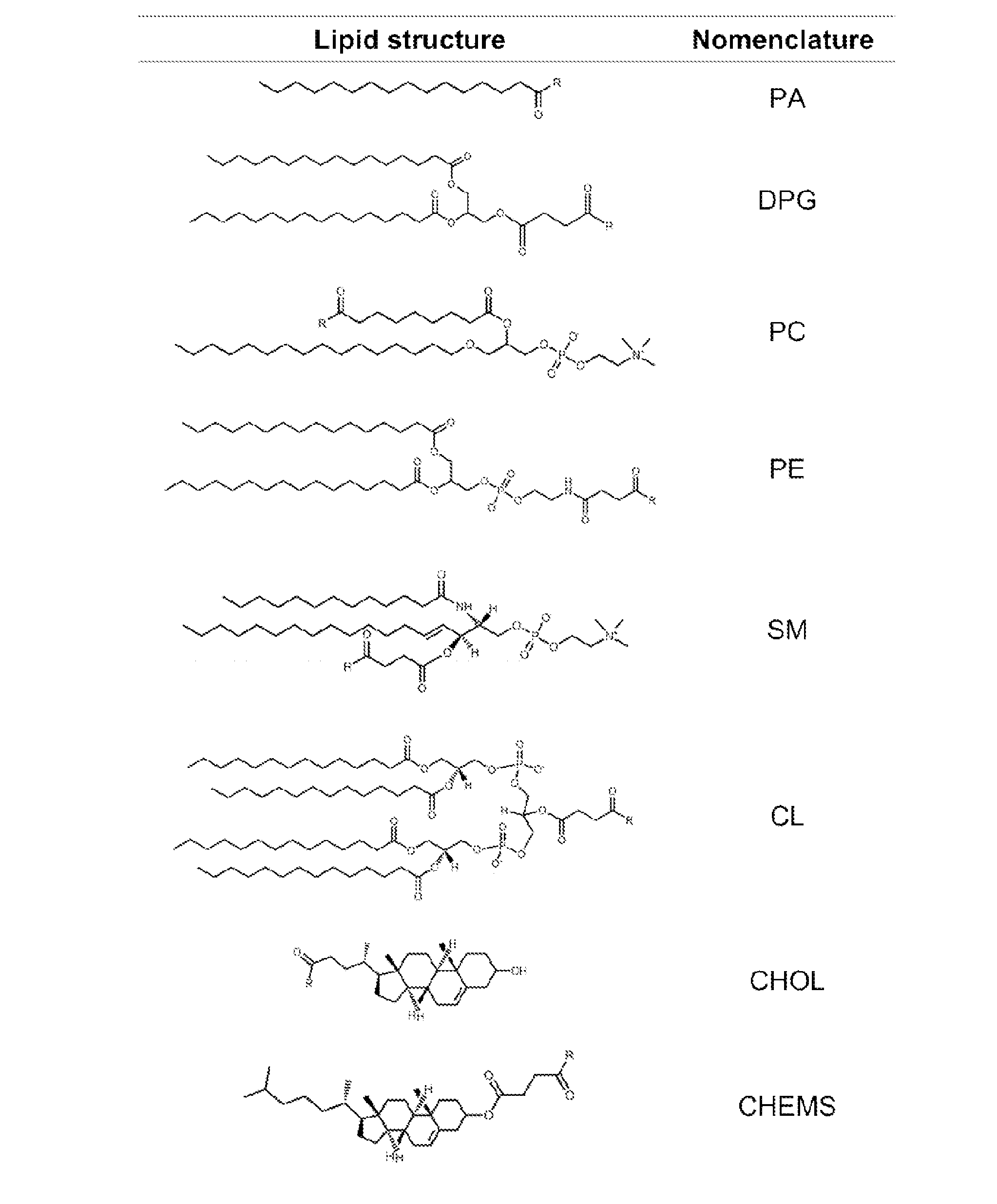 Methods and compositions for liposomal formulation of antigens and uses thereof