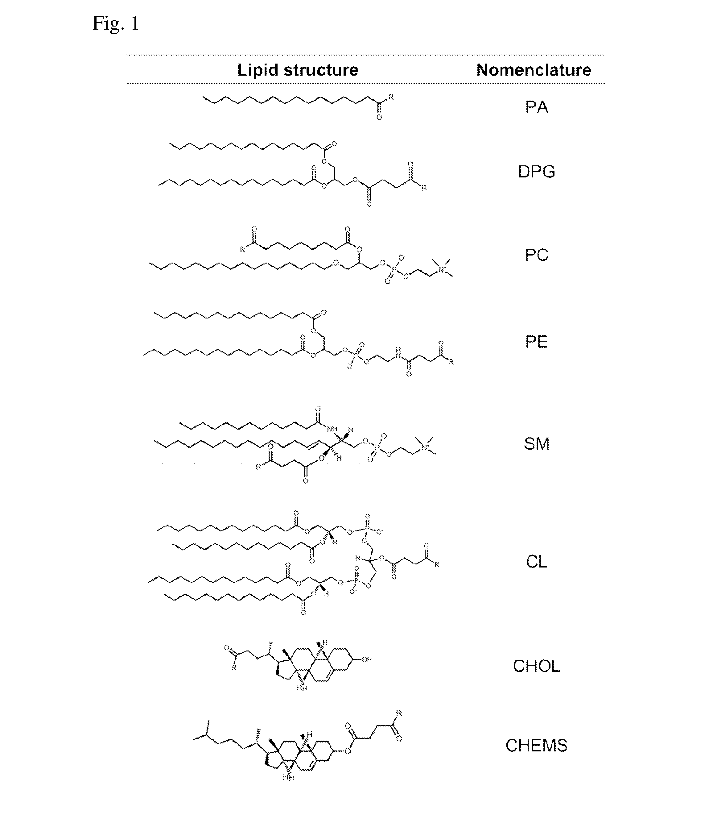 Methods and compositions for liposomal formulation of antigens and uses thereof