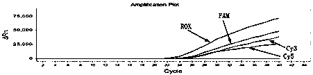 Human MTHFR and MTRR gene polymorphism detection kit