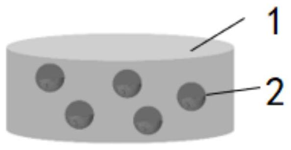 Microelement-loaded yeast micro-nano robot sugar pill and preparation method thereof