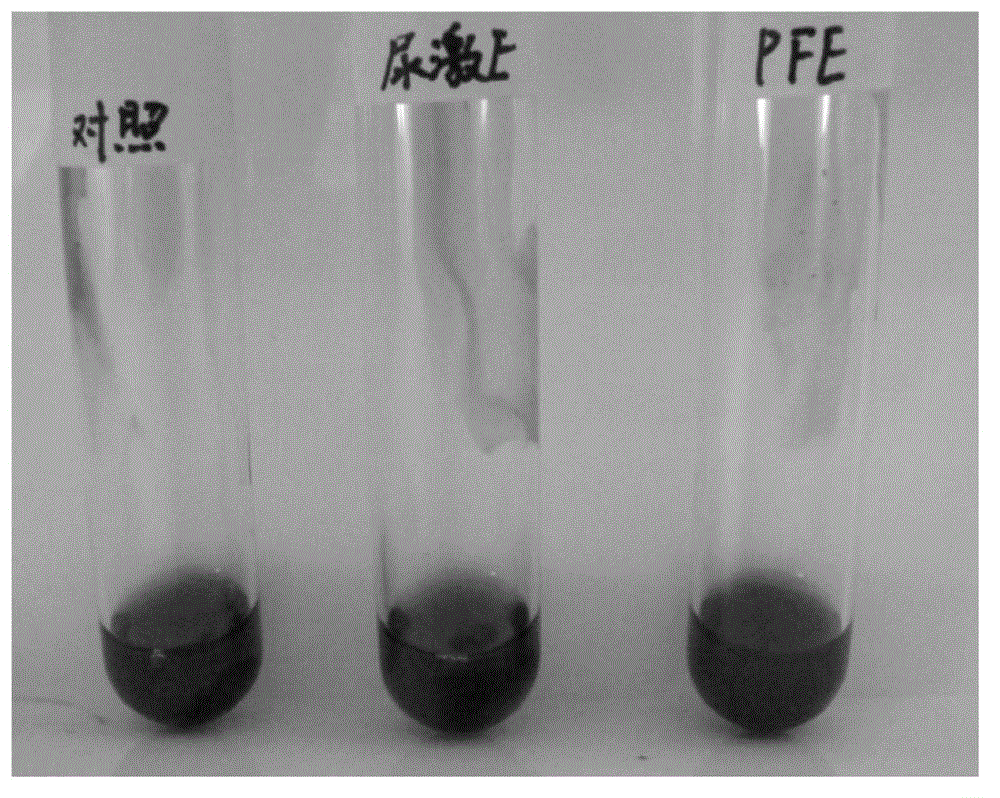 Marine phasolosma esculenta fibrinolytic enzyme, preparation method and applications thereof