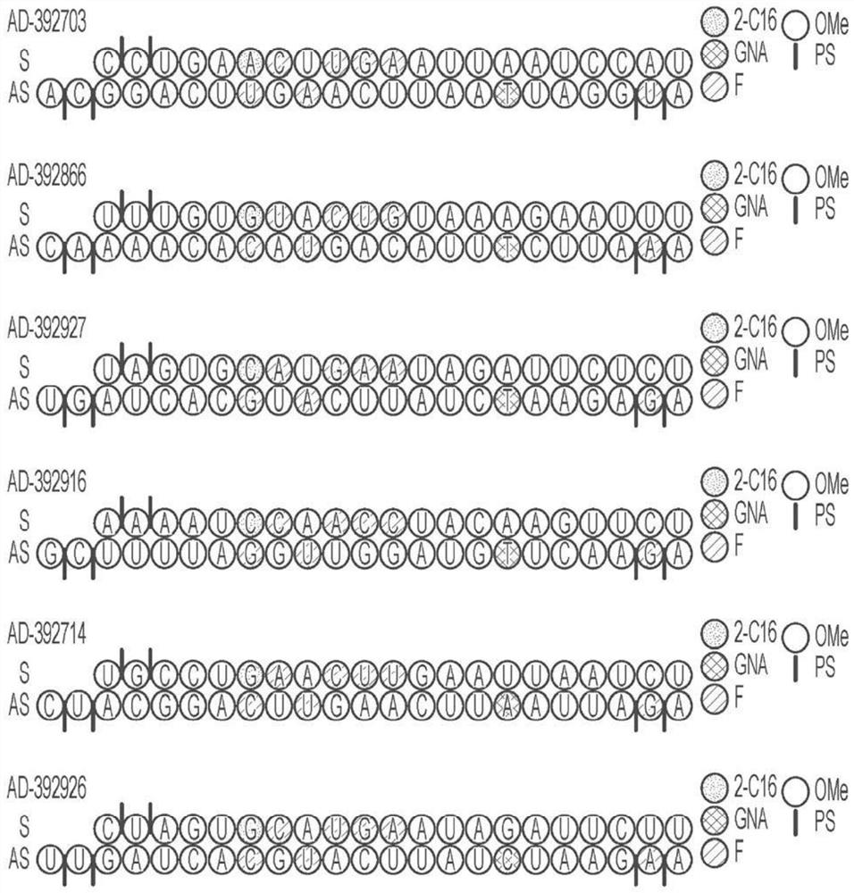 AMYLOID PRECURSOR PROTEIN (APP) RNAi AGENT COMPOSITIONS AND METHODS OF USE THEREOF