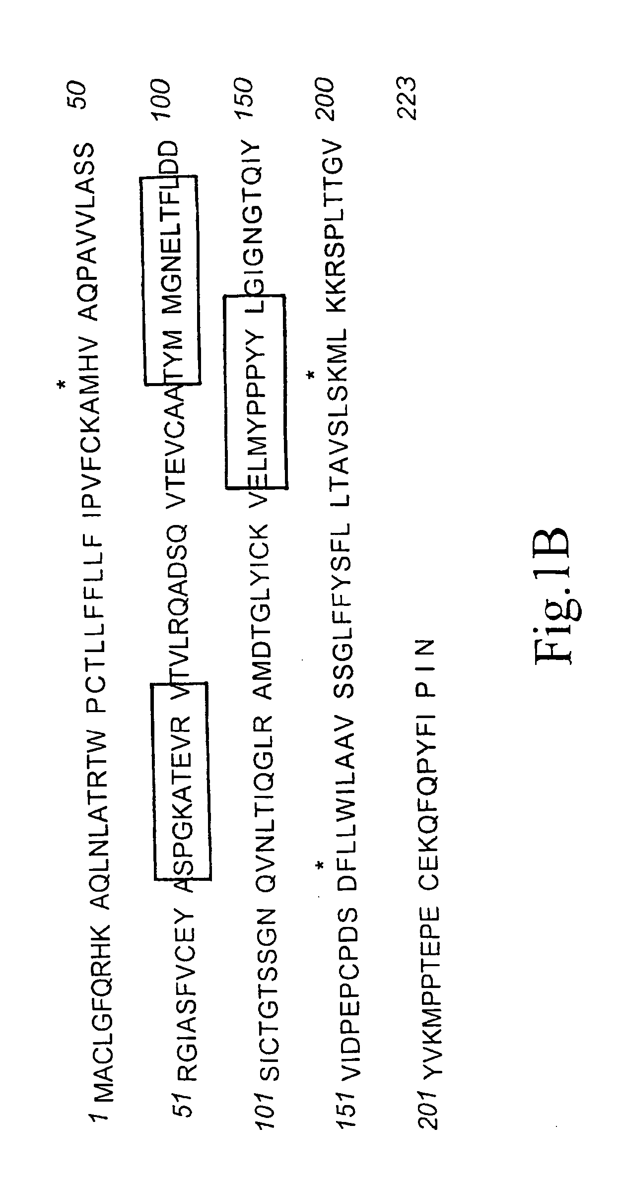Method for producing human antibodies with properties of agonist, antagonist, or inverse agonist