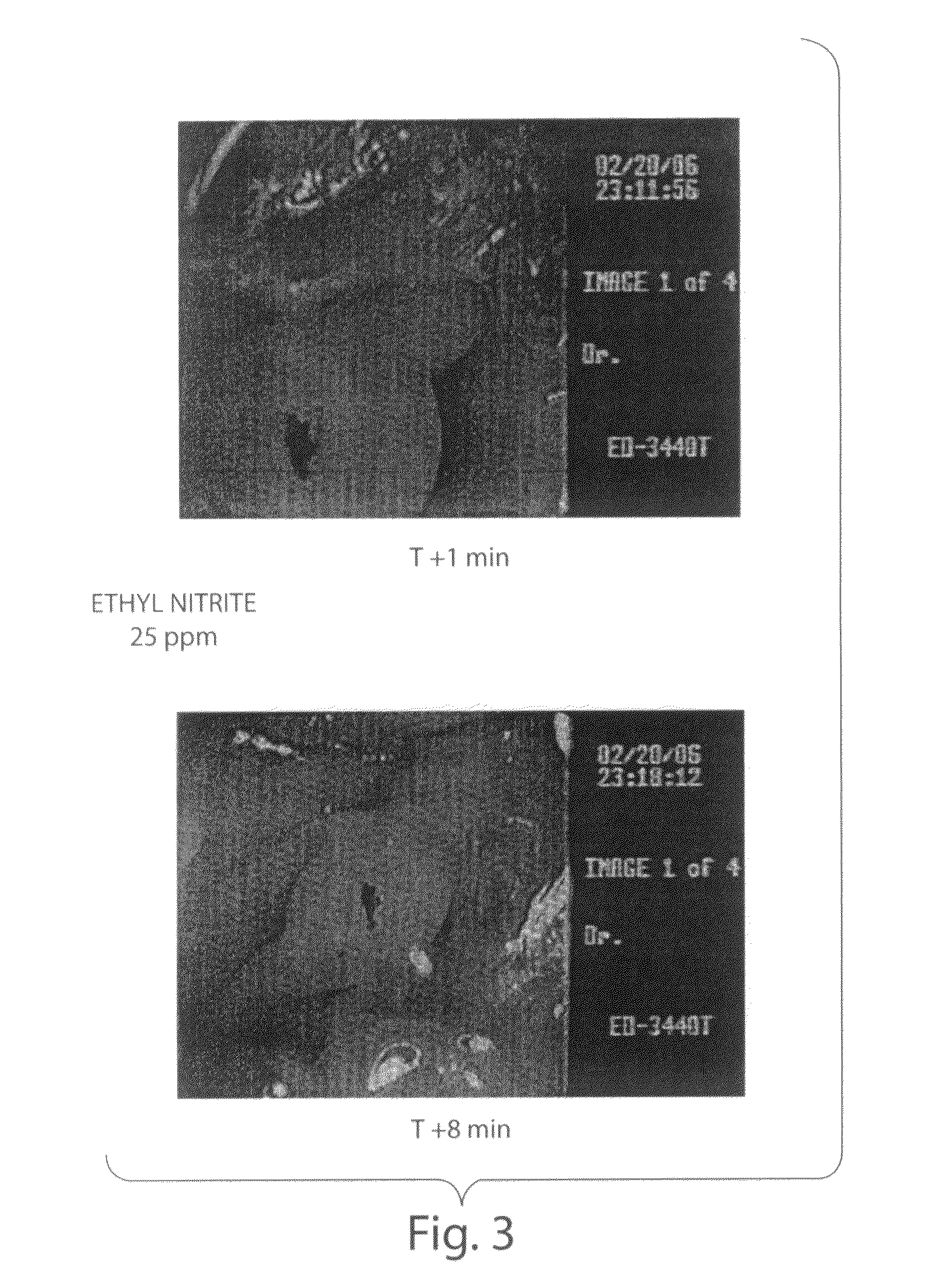 Ethyl nitrite as a gastrointestinal smooth muscle relaxant and diagnostic and therapeutic uses thereof