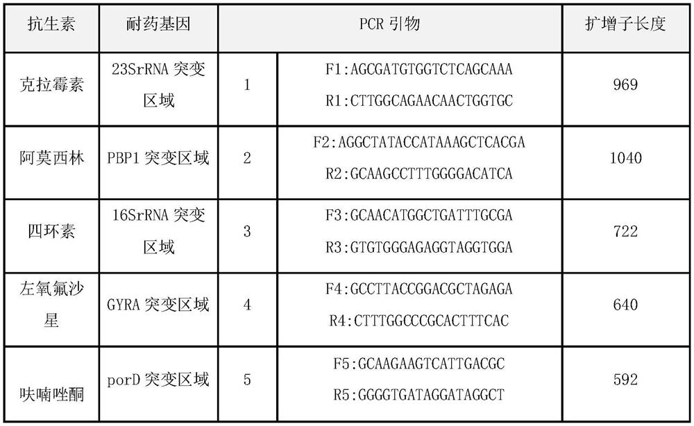 Method and kit for typing detection of drug resistance of helicobacter pylori in oral cavity
