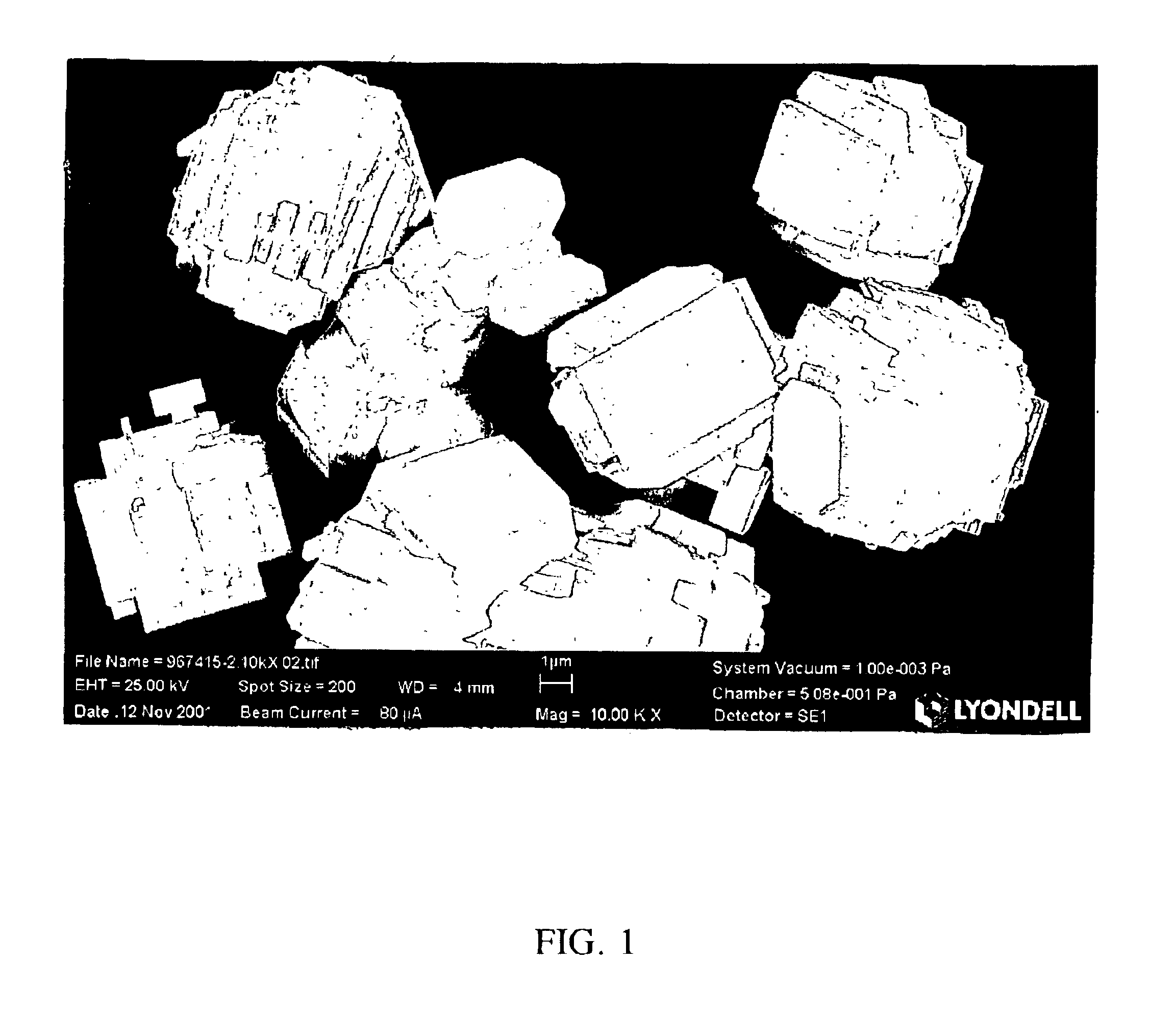 Process for direct oxidation of propylene to propylene oxide and large particle size titanium silicalite catalysts for use therein