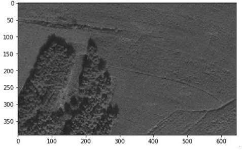 Vegetation classification method of remote sensing image based on gradient scale interval change regular operator