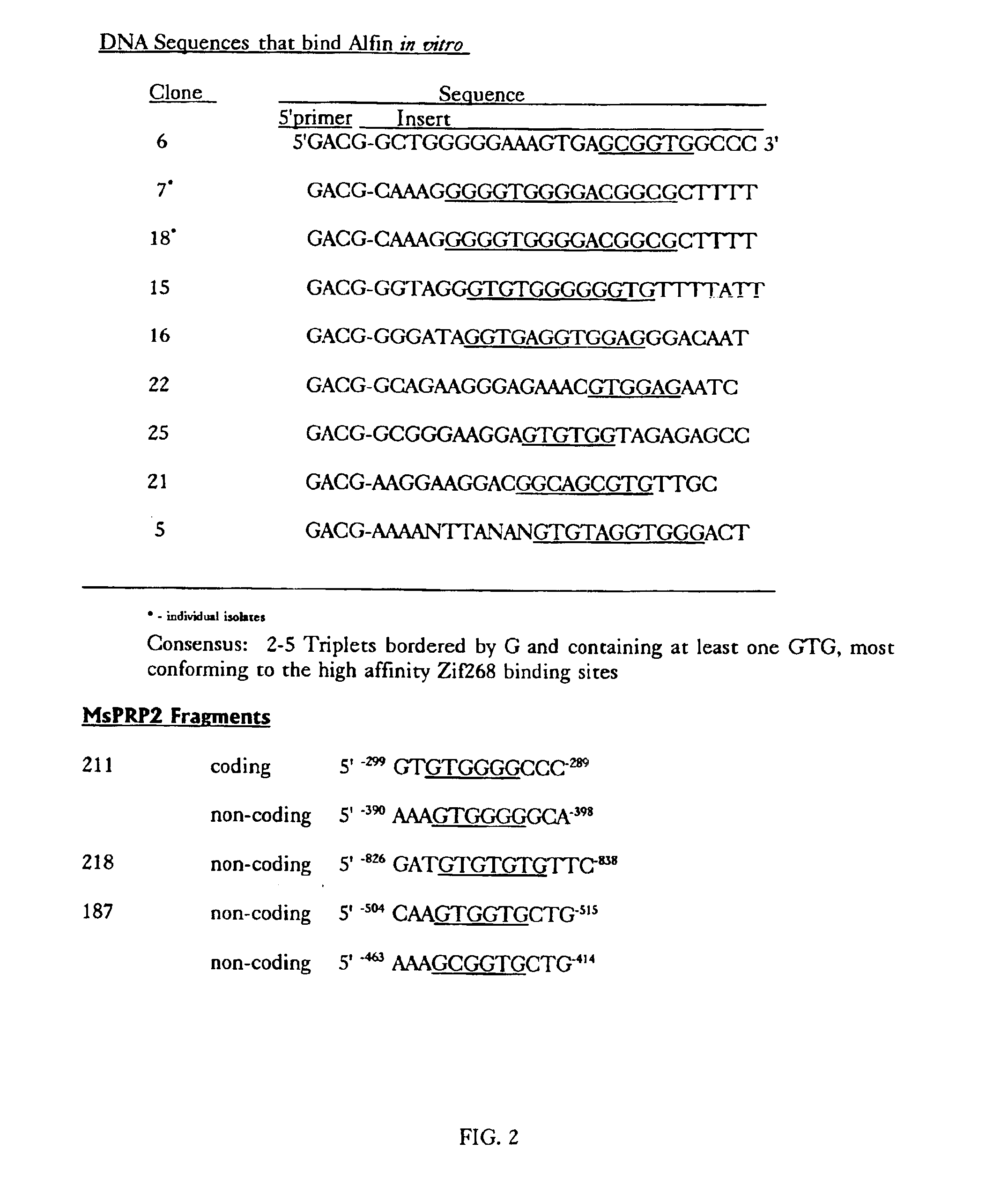 Expression of Alfin 1 and methods for producing transgenic plants having increased root growth and root specific gene activation