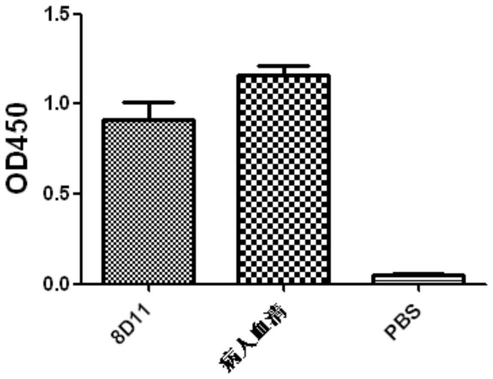 Anti-h7n9 fully human monoclonal antibody 8d11 and its preparation method and application