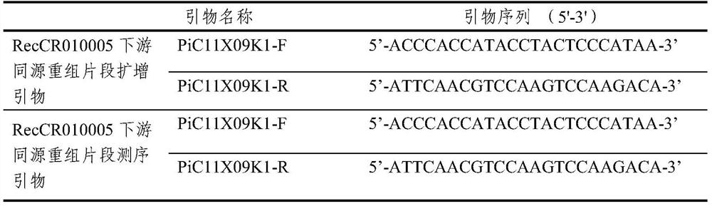 Recombined nucleic acid fragment reccr010005 and its detection primer and application