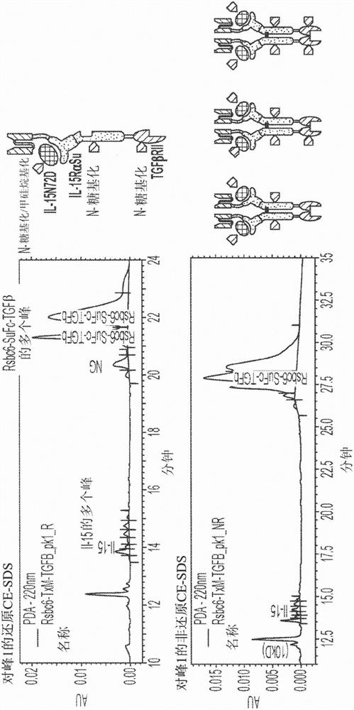 Modified N-810 and methods thereof