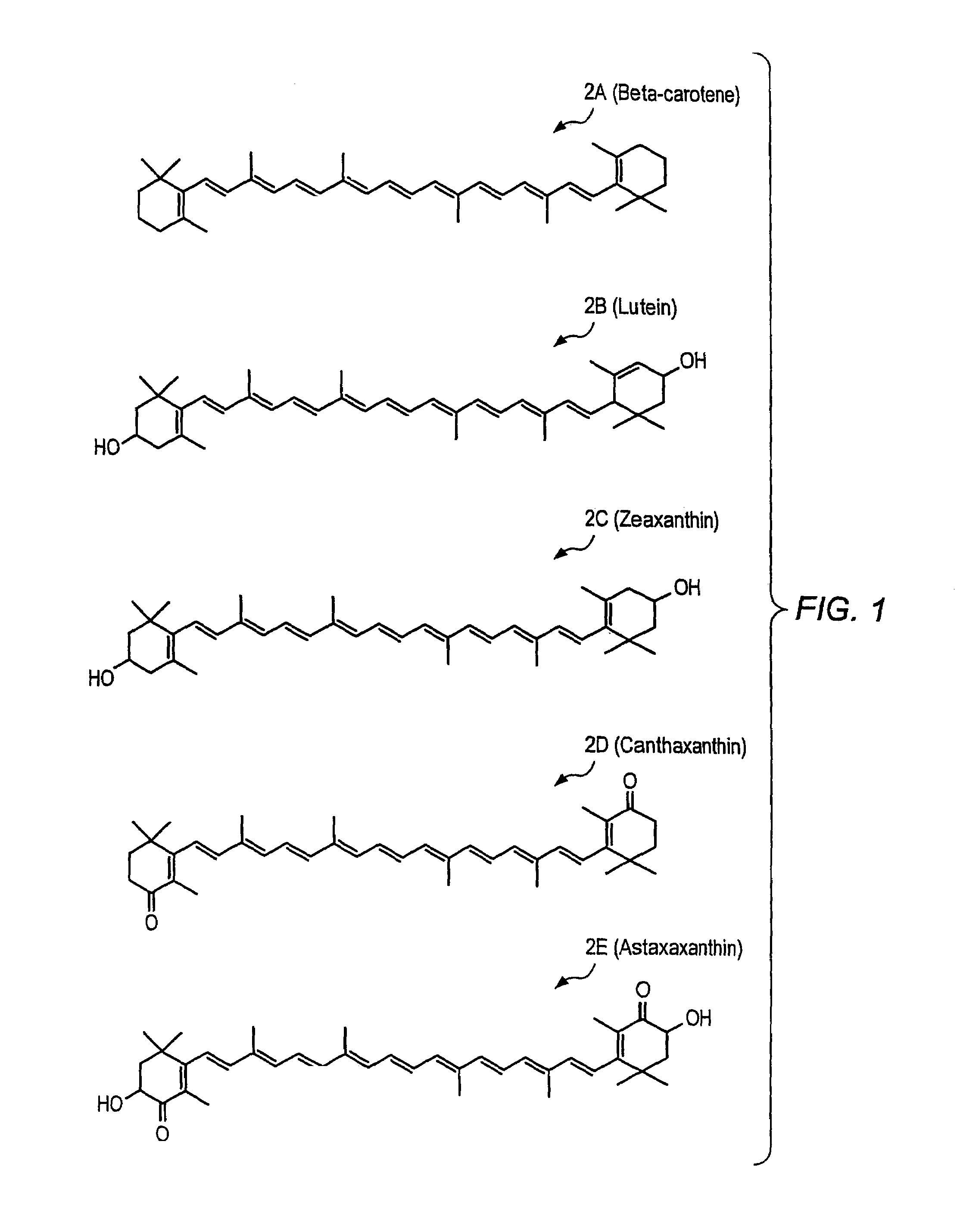 Carotenoid ether analogs or derivatives for the inhibition and amelioration of disease