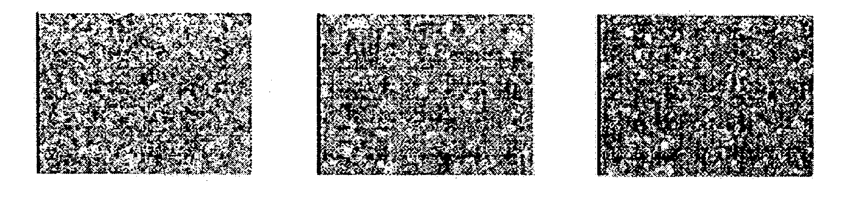 Thermosetting Water-Based Coating Composition and Method of Forming Coating Film