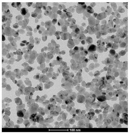 Metal oxide nanoparticles and preparation method of metal oxide nanoparticles