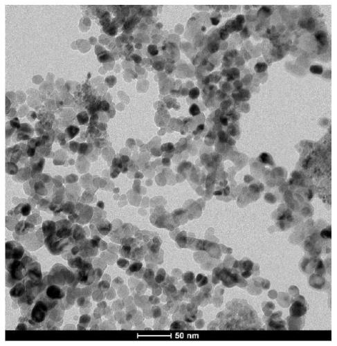 Metal oxide nanoparticles and preparation method of metal oxide nanoparticles