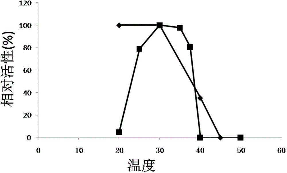 Beta-agarase and application thereof