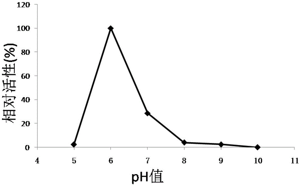 Beta-agarase and application thereof