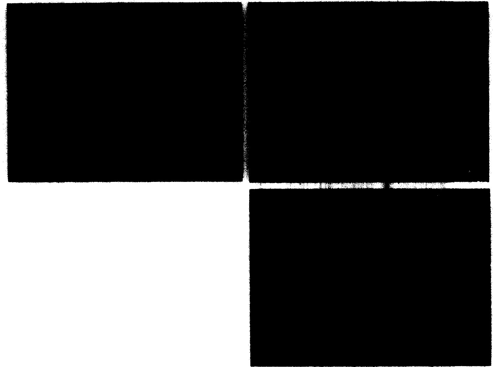 Simple method for preparing sphere analogous alpha-zirconium phosphate