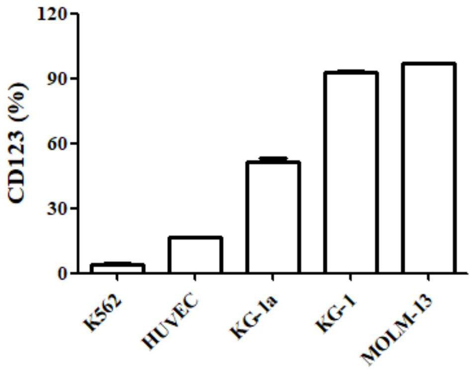 Polypeptide specifically binding to CD123 protein, polypeptide complex, co-delivery system, preparation method and application thereof