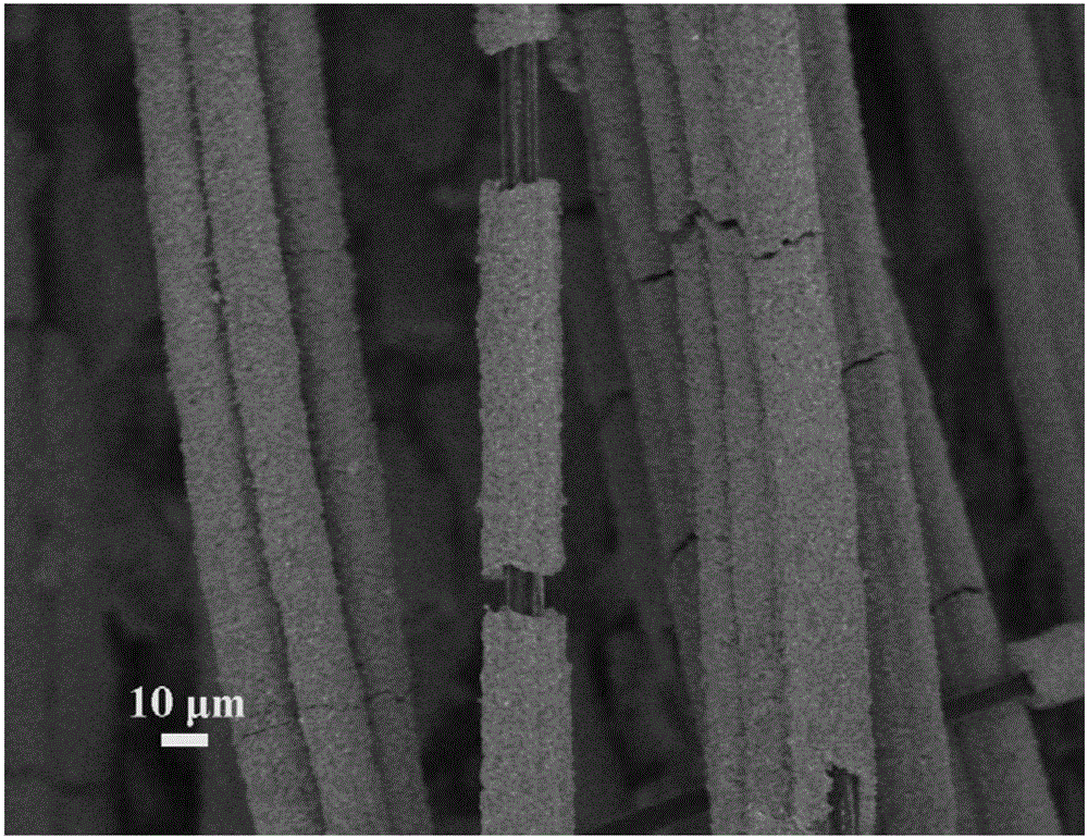 Carbon fiber-molybdenum selenide nanosheet core-shell composite structure and preparation method thereof