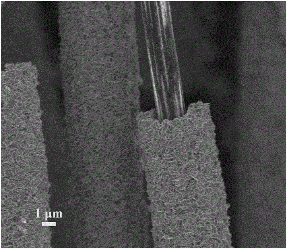 Carbon fiber-molybdenum selenide nanosheet core-shell composite structure and preparation method thereof