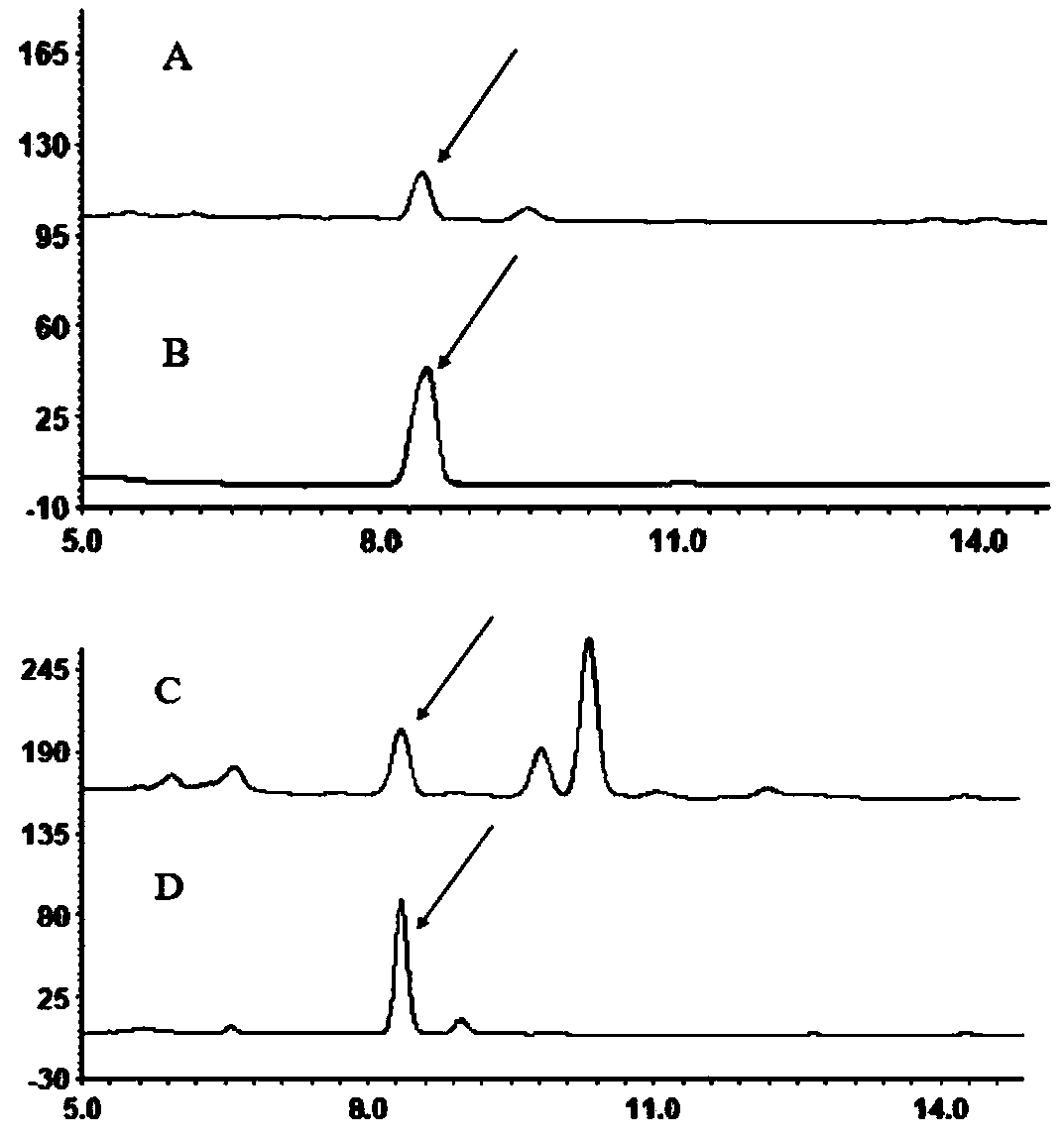 Recombinant saccharomyces cerevisiae for producing dammarenediol and protopanoxadiol using xylose and construction method