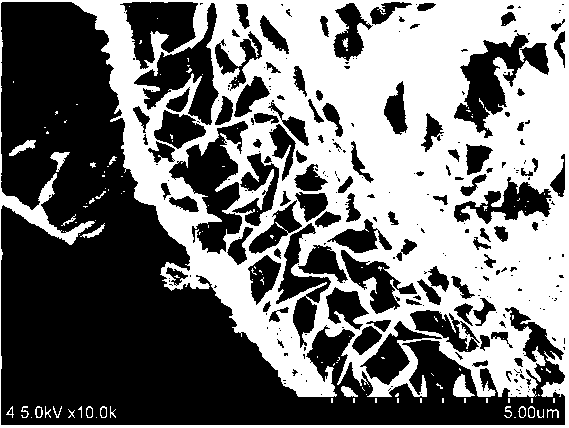 Synthetic method of porous ZnO three-dimensional superstructure assembled by nano-sheets