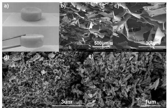 Iron-nickel polyphenol network nano-composite carbon material electrocatalyst based on chitosan modified cellulose aerogel and preparation method of iron-nickel polyphenol network nano-composite carbon material electrocatalyst