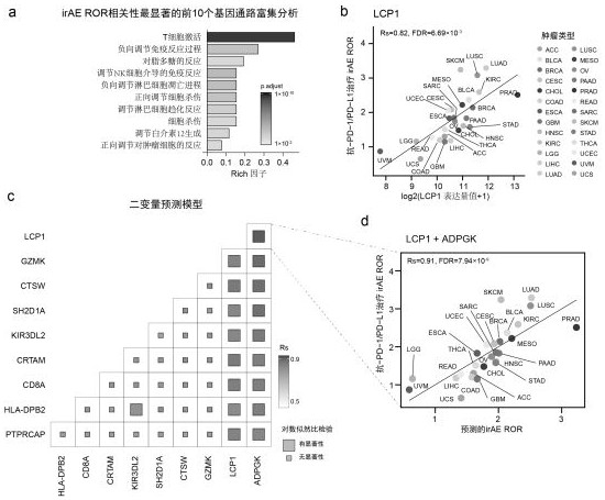 Markers of immune-related adverse events and applications thereof