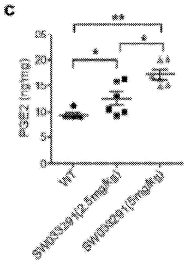 Compositions and methods for treating renal injury