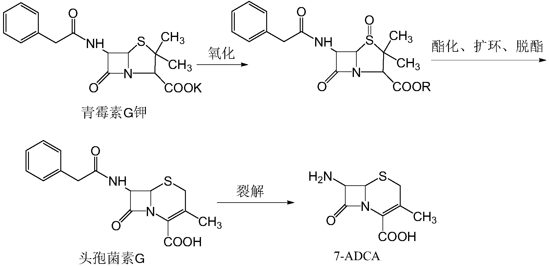 Preparation method of 7-ADCA