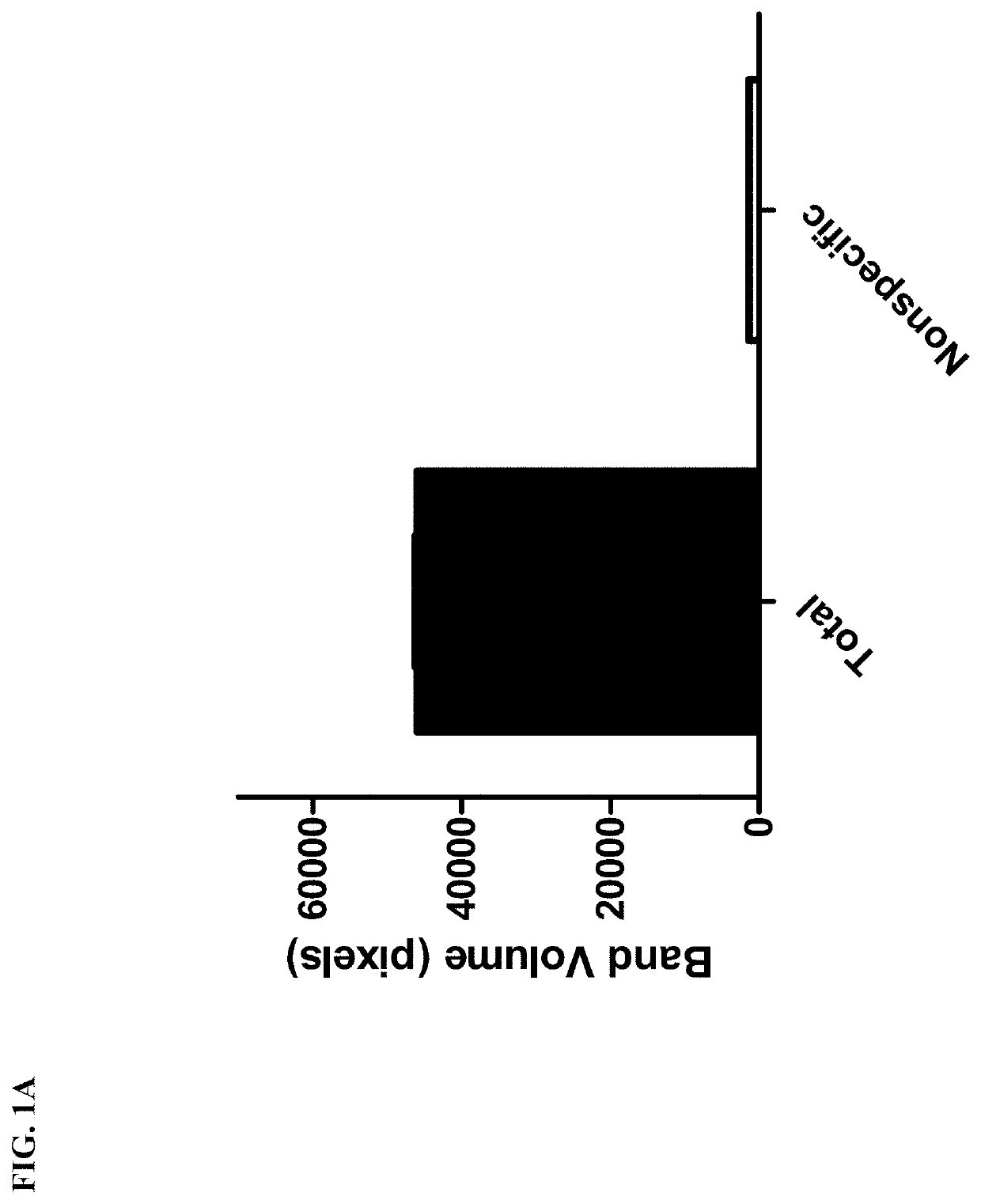 Bt toxin receptors and methods of use