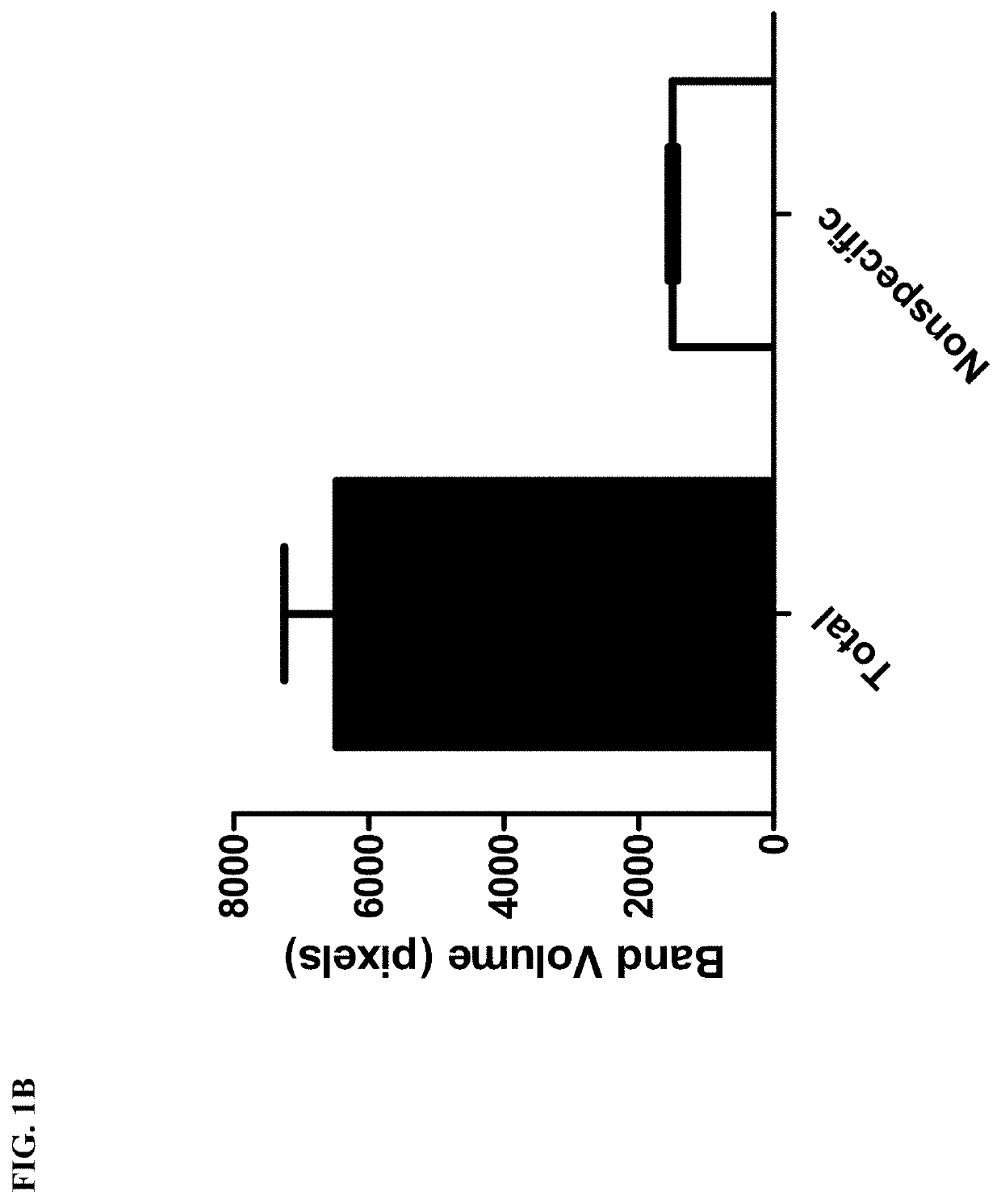 Bt toxin receptors and methods of use