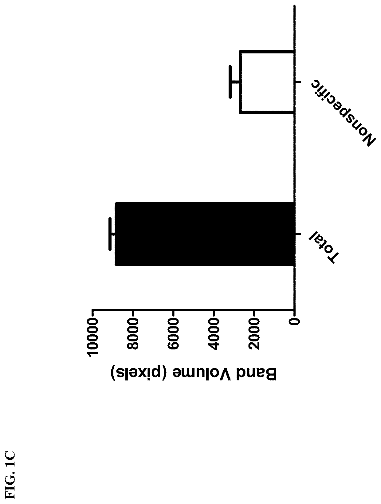 Bt toxin receptors and methods of use