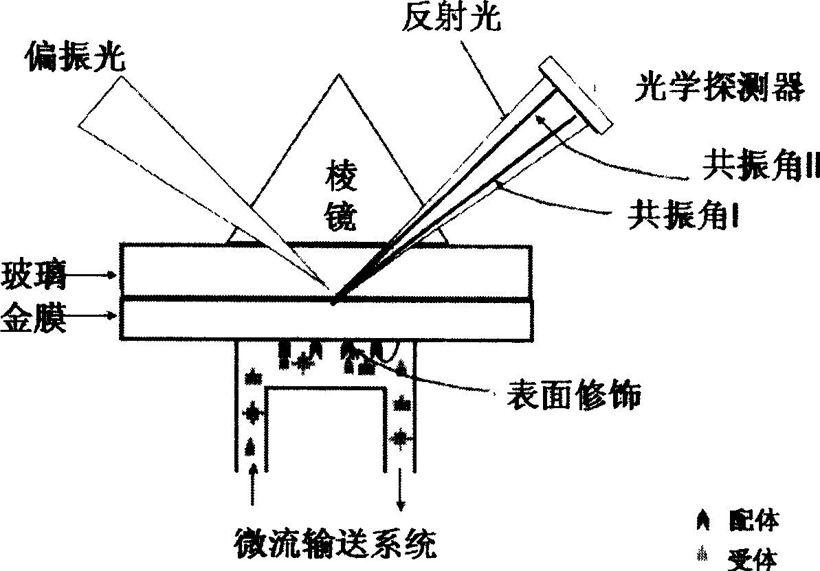 Surface plasma resonance instrument chip based on polyethyleneglycol