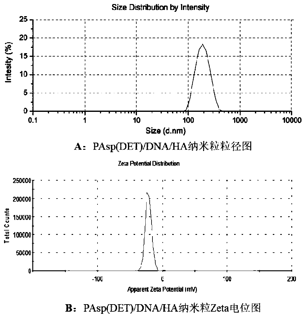 Active targeted gene delivery nanoparticle, and preparation method and application thereof