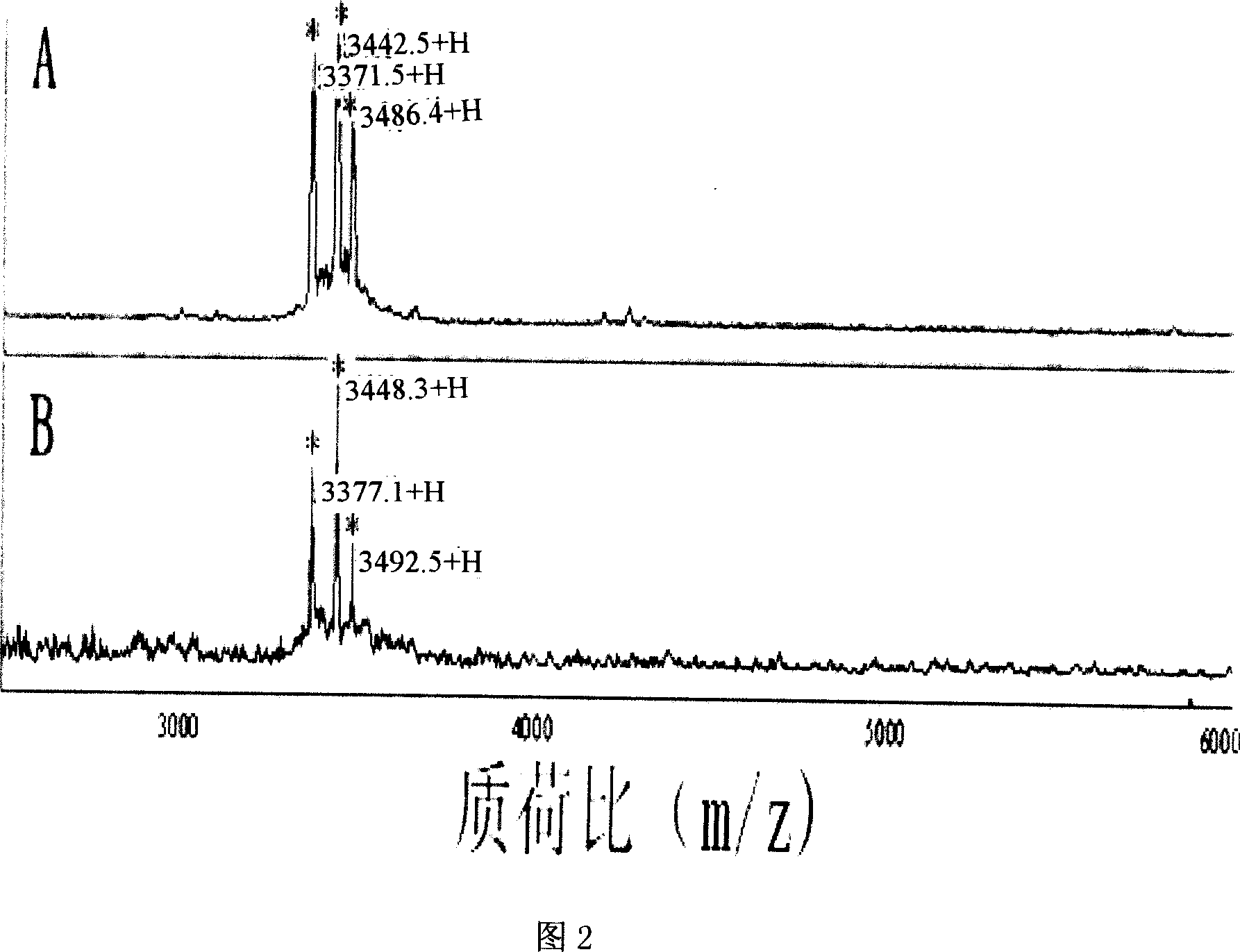 Use of human phylaxin-1,2,3 protein in cancer detecting molecular mark