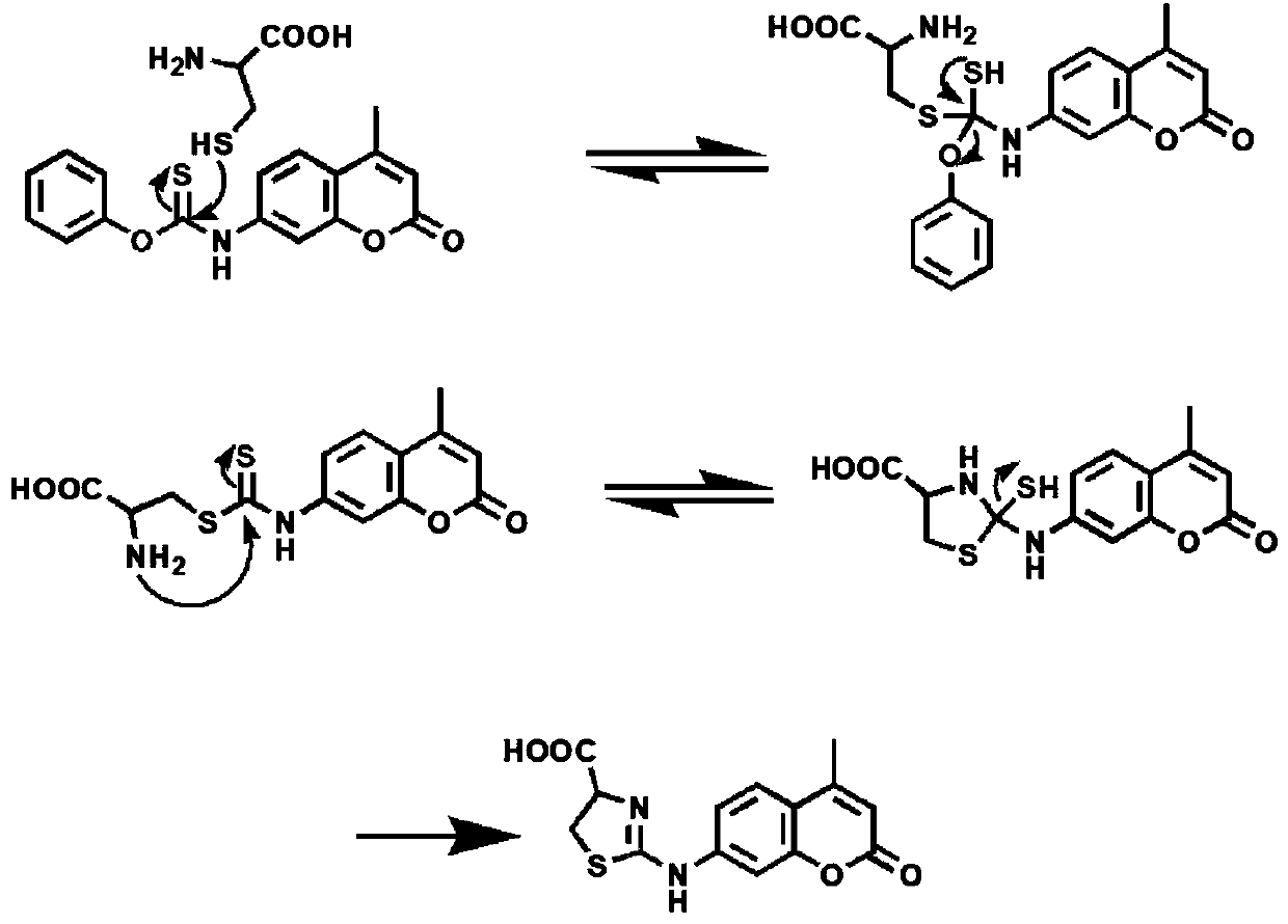 Specific double-photon imaging fluorescent probe as well as preparation method and application