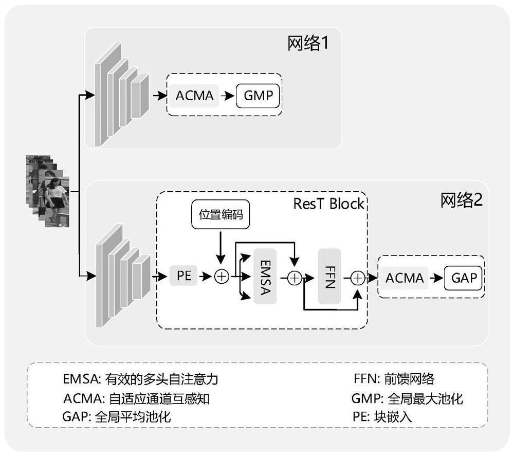 Pedestrian re-identification model training method based on heterogeneous dual networks and feature consistency